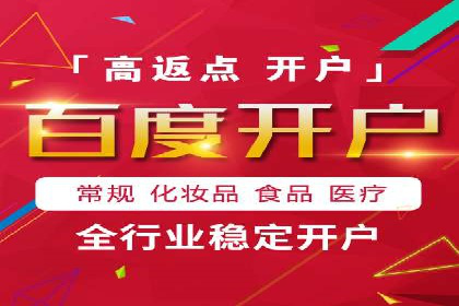成功运用SEM技术提升网站流量的案例研究